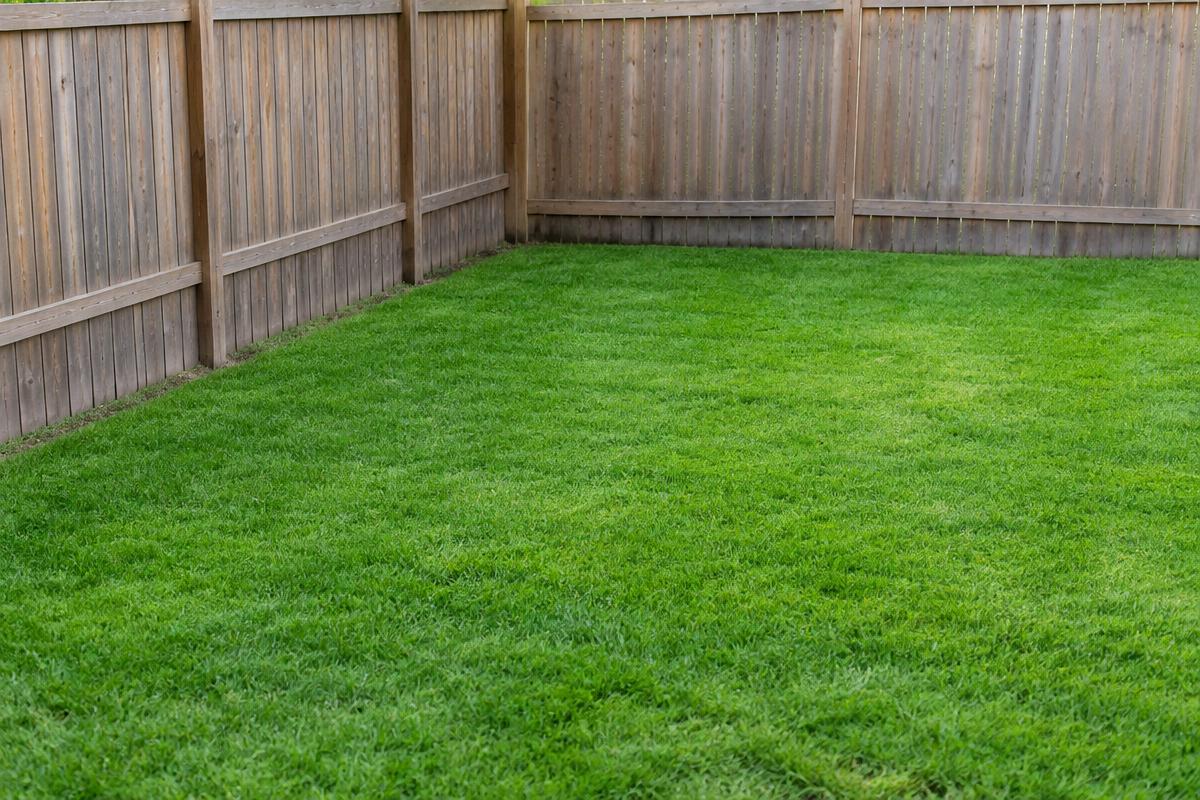 Brush & Pallet Removal: after